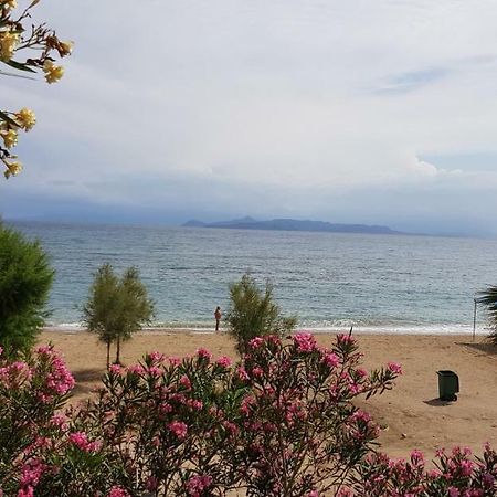 Perfect Beachfront Apartment Athens Exterior photo