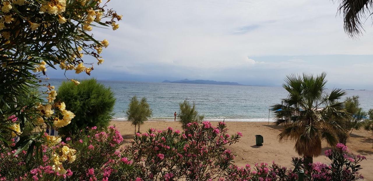 Perfect Beachfront Apartment Athens Exterior photo